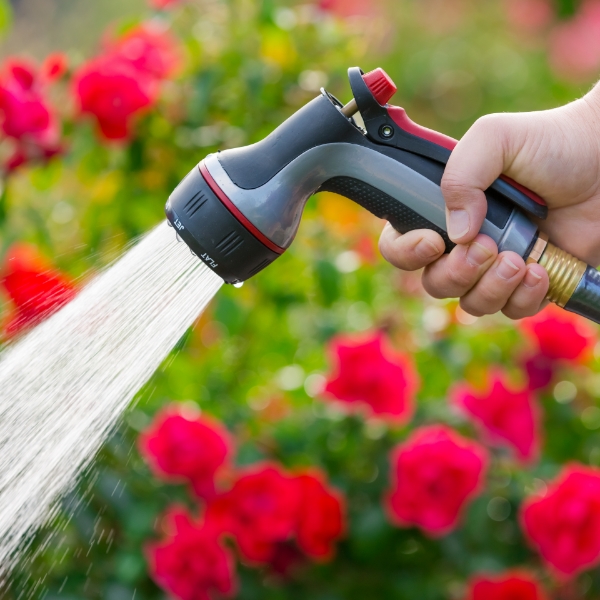 群府、園藝、TPE、TPR